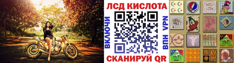 shop клад  наркошоп  Артёмовск  Наркотические марки 1500мкг 