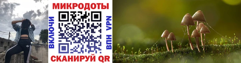 Псилоцибиновые грибы прущие грибы  купить закладку  Артёмовск 